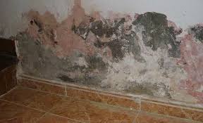 حل مشكلة تسرب المياه في الجدران بالرياض